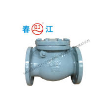 JIS Standard Non Return Check Valve